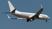 AirExplore Boeing 737-81Q (OM-HEX) at  Frankfurt am Main, Germany