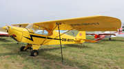 (Private) Piper J3C-65 Cub (OM-M117) at  Piestany, Slovakia