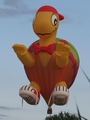 (Private) Cameron Balloons Turtle 120 SS (OO-BUP) at  Echternach, Luxembourg