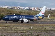 TUI Airlines Belgium Boeing 737-8K5 (OO-JAF) at  Tenerife Sur - Reina Sofia, Spain