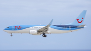TUI Airlines Belgium Boeing 737-8K5 (OO-JAQ) at  Tenerife Sur - Reina Sofia, Spain