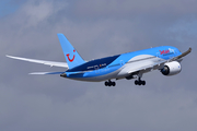 Jetairfly Boeing 787-8 Dreamliner (OO-JDL) at  Tenerife Sur - Reina Sofia, Spain