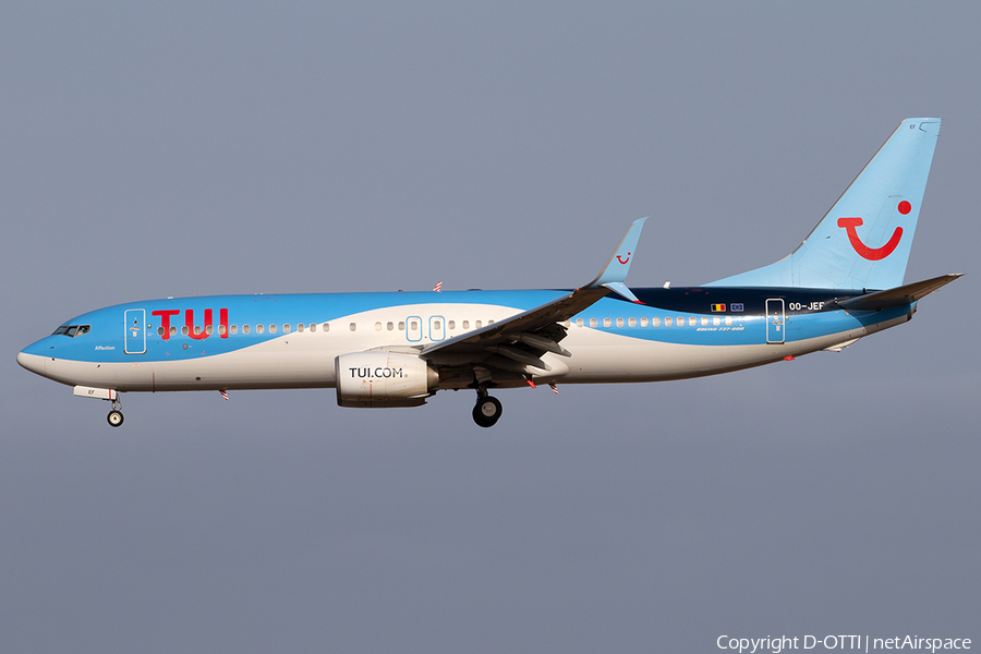 TUI Airlines Belgium Boeing 737-8K5 (OO-JEF) | Photo 260665