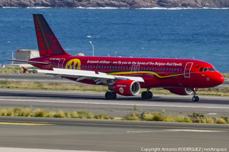 Brussels Airlines Airbus A320-214 (OO-SNA) | Photo 137229