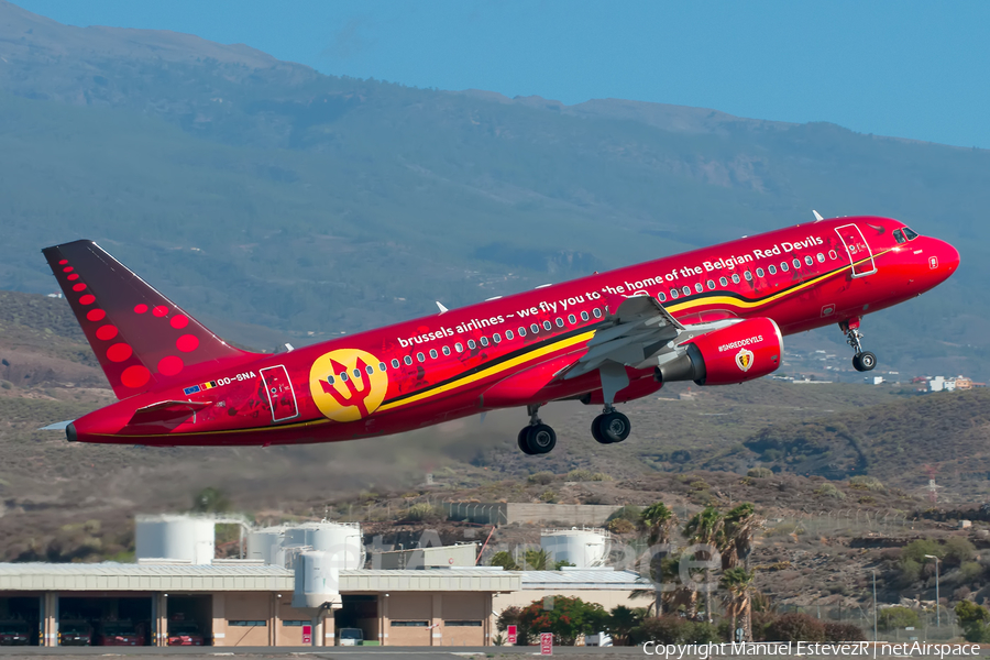 Brussels Airlines Airbus A320-214 (OO-SNA) | Photo 132991