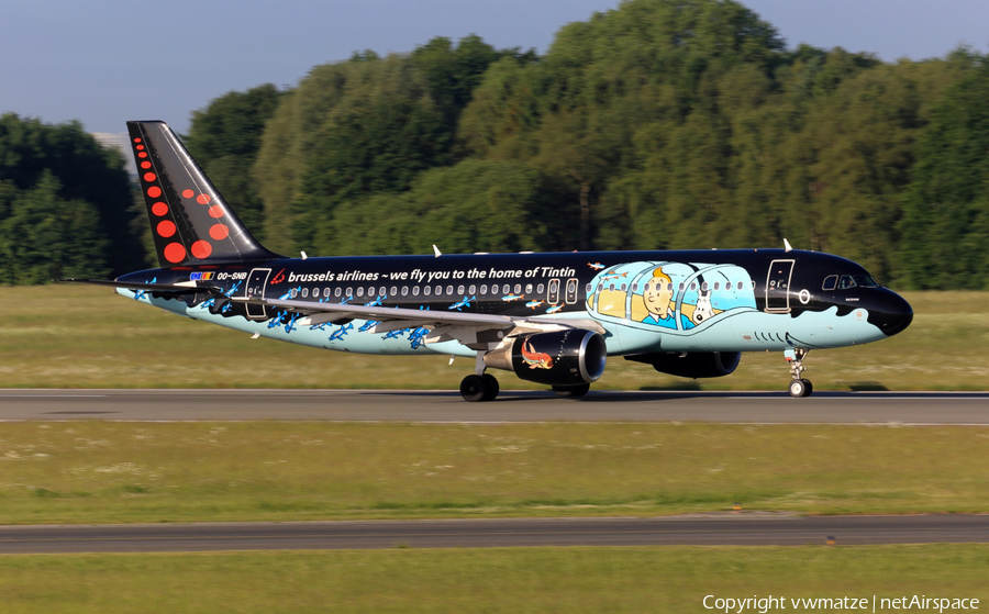 Brussels Airlines Airbus A320-214 (OO-SNB) | Photo 166488