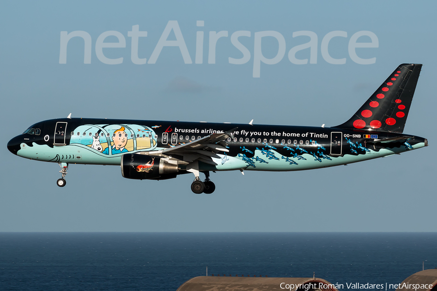 Brussels Airlines Airbus A320-214 (OO-SNB) | Photo 335525