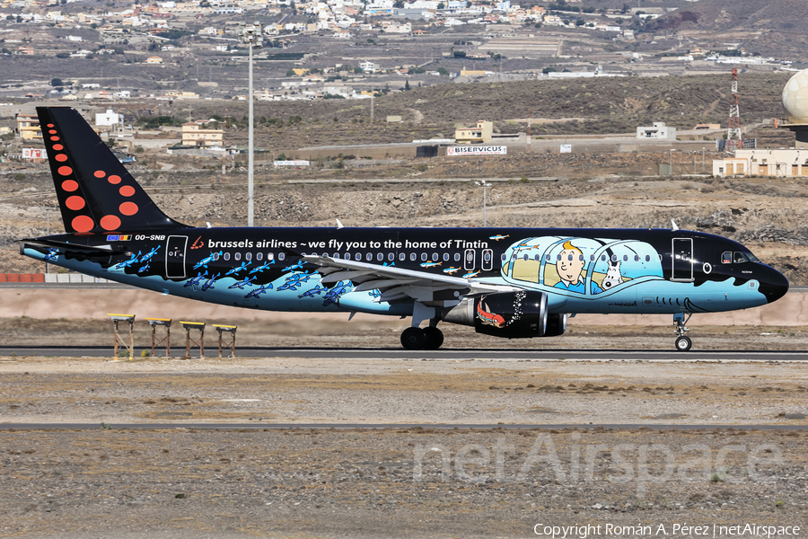 Brussels Airlines Airbus A320-214 (OO-SNB) | Photo 480959