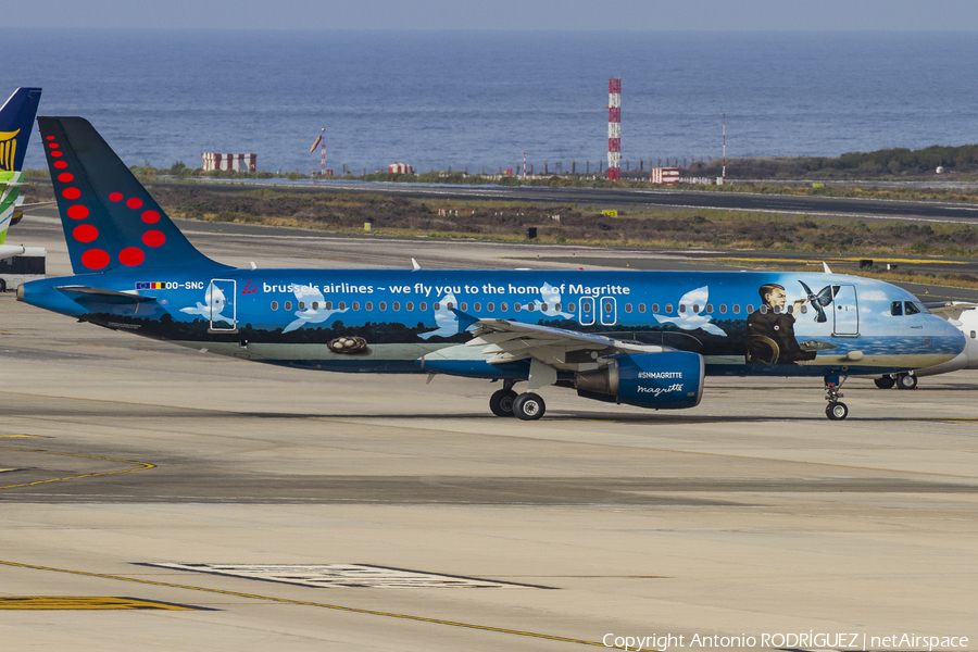 Brussels Airlines Airbus A320-214 (OO-SNC) | Photo 156293