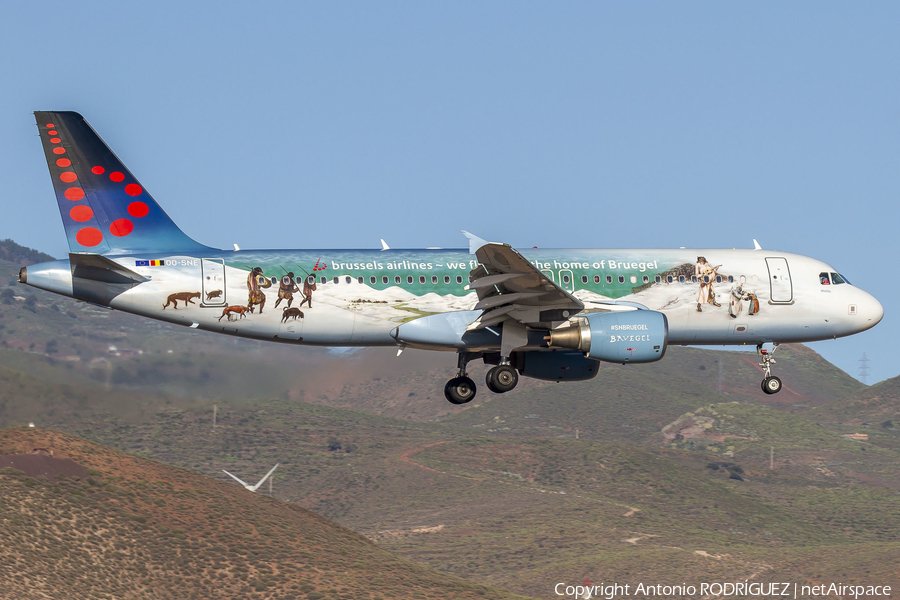 Brussels Airlines Airbus A320-214 (OO-SNE) | Photo 369662