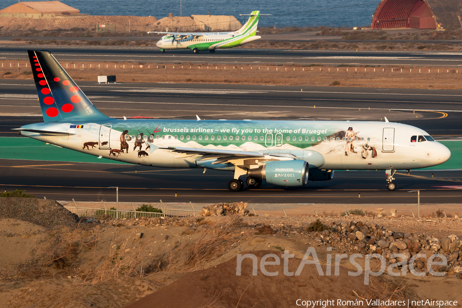 Brussels Airlines Airbus A320-214 (OO-SNE) | Photo 475992
