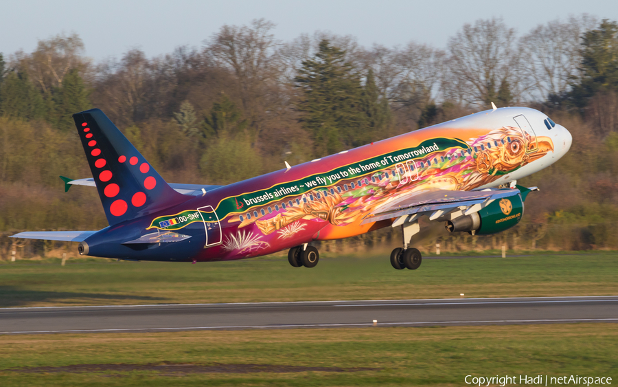 Brussels Airlines Airbus A320-214 (OO-SNF) | Photo 154242