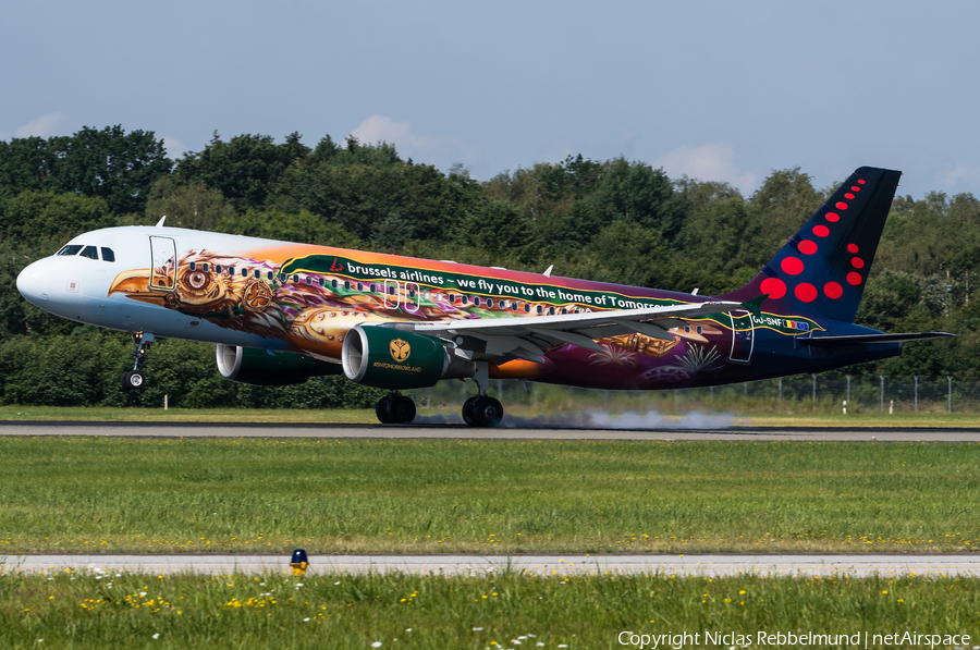 Brussels Airlines Airbus A320-214 (OO-SNF) | Photo 339237