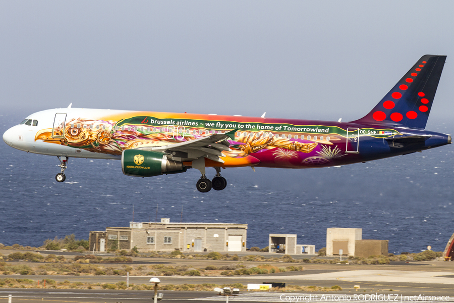 Brussels Airlines Airbus A320-214 (OO-SNF) | Photo 170429