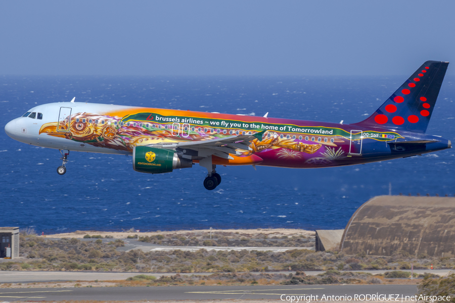 Brussels Airlines Airbus A320-214 (OO-SNF) | Photo 253461