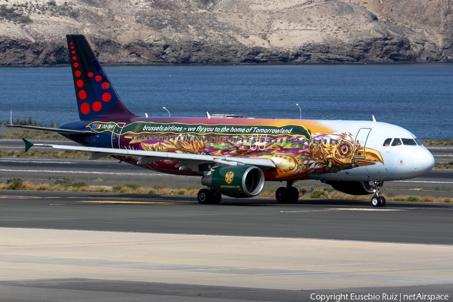 Brussels Airlines Airbus A320-214 (OO-SNF) | Photo 445407