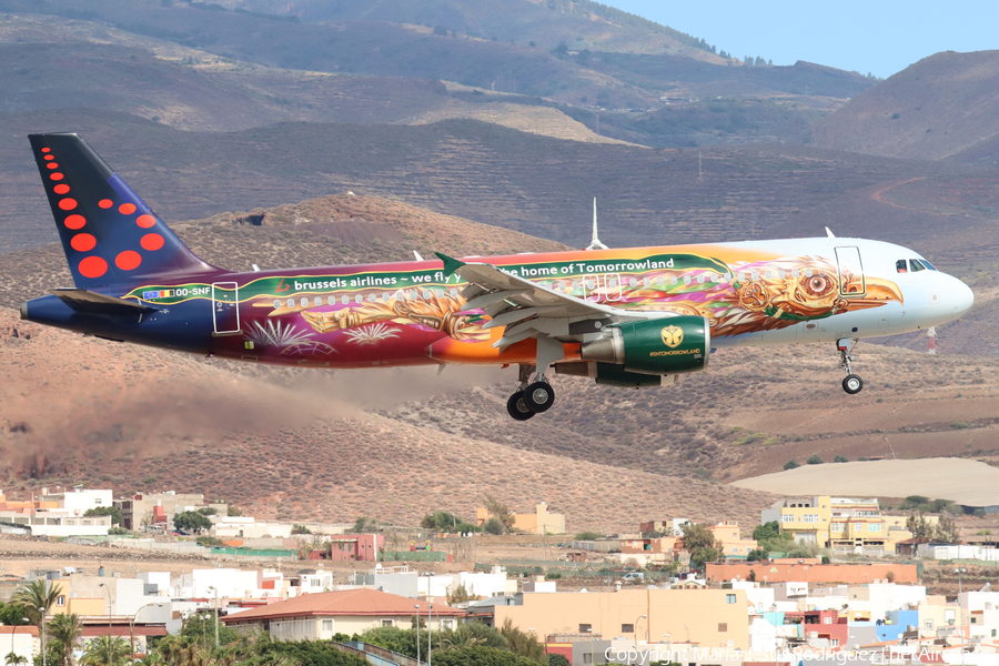 Brussels Airlines Airbus A320-214 (OO-SNF) | Photo 517492