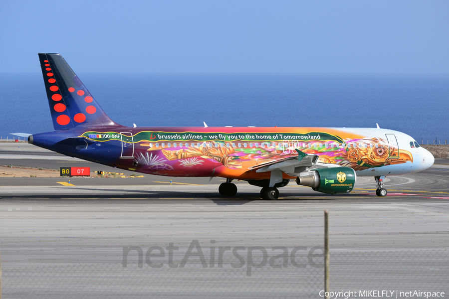 Brussels Airlines Airbus A320-214 (OO-SNF) | Photo 262389