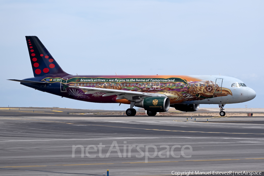 Brussels Airlines Airbus A320-214 (OO-SNF) | Photo 446294
