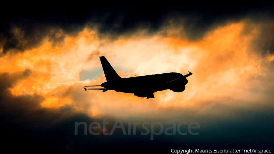Brussels Airlines Airbus A319-111 (OO-SSF) | Photo 117000