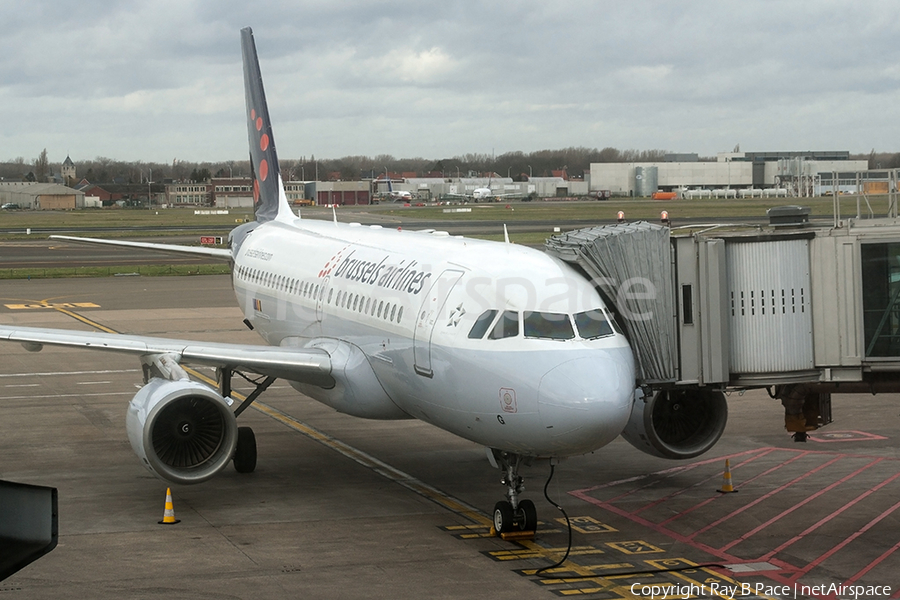 Brussels Airlines Airbus A319-112 (OO-SSG) | Photo 374324