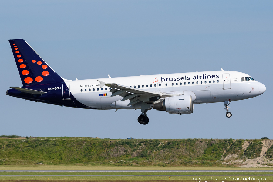 Brussels Airlines Airbus A319-111 (OO-SSJ) | Photo 392801