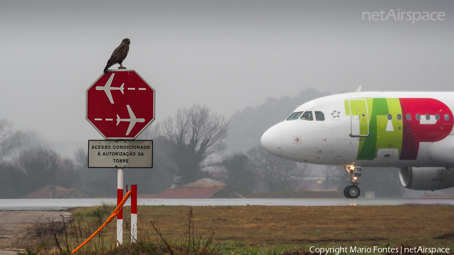 Aviation photo 108462