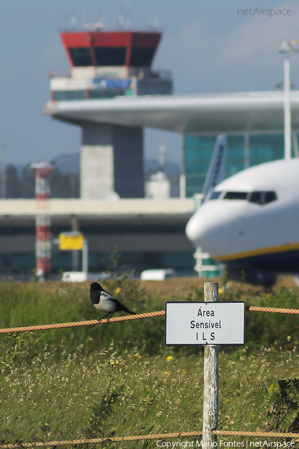 Aviation photo 55288