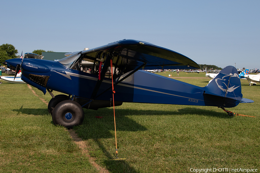 (Private) CubCrafters CCX-2000 Carbon Cub EX-3 (N313CS) | Photo 663670