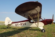 (Private) Piper PA-11 Cub Special (OY-BSS) at  Bienenfarm, Germany