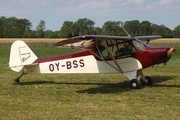 (Private) Piper PA-11 Cub Special (OY-BSS) at  Bienenfarm, Germany