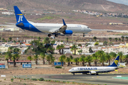 Jet Time Boeing 737-8U3 (OY-JZO) at  Gran Canaria, Spain