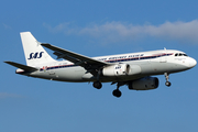 SAS - Scandinavian Airlines Airbus A319-132 (OY-KBO) at  Copenhagen - Kastrup, Denmark