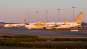 Primera Air Scandinavia Boeing 737-8Q8 (OY-PSA) at  Billund, Denmark