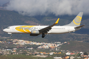 Primera Air Scandinavia Boeing 737-8Q8 (OY-PSB) at  Tenerife Sur - Reina Sofia, Spain