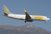 Primera Air Scandinavia Boeing 737-86N (OY-PSC) at  Tenerife Sur - Reina Sofia, Spain
