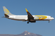 Primera Air Scandinavia Boeing 737-86N (OY-PSD) at  Tenerife Sur - Reina Sofia, Spain