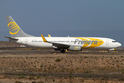 Primera Air Scandinavia Boeing 737-809 (OY-PSE) at  Tenerife Sur - Reina Sofia, Spain