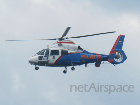 Indonesian National Police Eurocopter AS365N3 Dauphin 2 (P-3101) at  Palembang - Sultan Mahmud Badaruddin II International, Indonesia