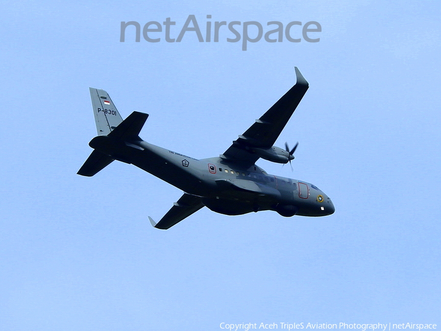 Indonesian Navy (TNI-AL) IPTN CN-235-220MPA (P-8301) | Photo 271682