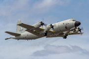 Spanish Air Force (Ejército del Aire) Lockheed P-3B Orion (P.3-08) at  Gran Canaria, Spain