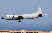 Spanish Air Force (Ejército del Aire) Lockheed P-3M Orion (P.3B-09) at  Gran Canaria, Spain