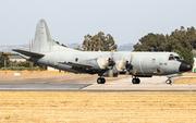 Spanish Air Force (Ejército del Aire) Lockheed P-3M Orion (P.3M-09) at  Sevilla - Moron de la Frontera, Spain