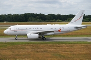 Ukrainian Government Airbus A319-133X CJ (P4-ARL) at  Hamburg - Fuhlsbuettel (Helmut Schmidt), Germany