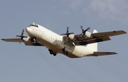 Lynden Air Cargo Lockheed L-100-30 (Model 382G) Hercules (P4-LAC) at  Gran Canaria, Spain