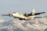 Lynden Air Cargo Lockheed L-100-30 (Model 382G) Hercules (P4-LAS) at  Anchorage - Ted Stevens International, United States