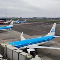 KLM - Royal Dutch Airlines Boeing 737-8K2 (PH-BCA) at  Amsterdam - Schiphol, Netherlands