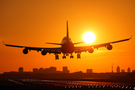 KLM - Royal Dutch Airlines Boeing 747-406 (PH-BFL) at  Amsterdam - Schiphol, Netherlands