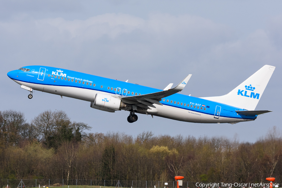 KLM - Royal Dutch Airlines Boeing 737-8K2 (PH-BXF) | Photo 469240