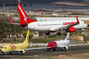 Corendon Dutch Airlines Boeing 737-804 (PH-CDF) at  Gran Canaria, Spain